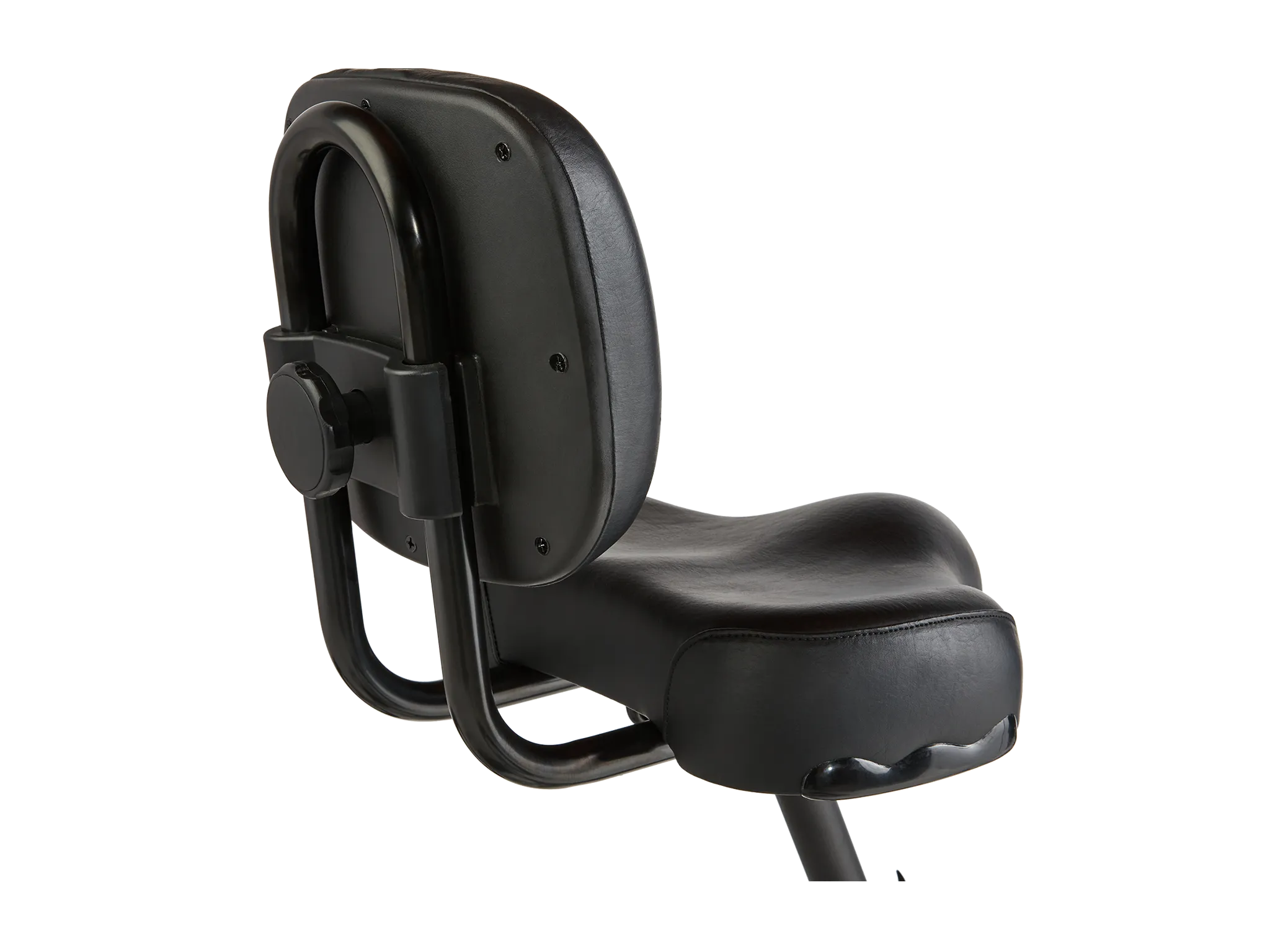 RadTrike™ Electric Tricycle